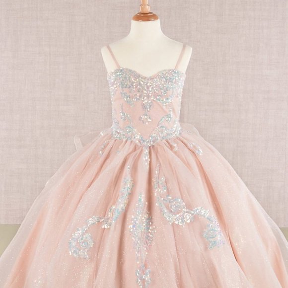 NEW TEA LENGTH MESH DRESS FOR KIDS EMBROIDERED WITH SEQUINS AND RIBBON GL GK106 - Picture 1 of 12